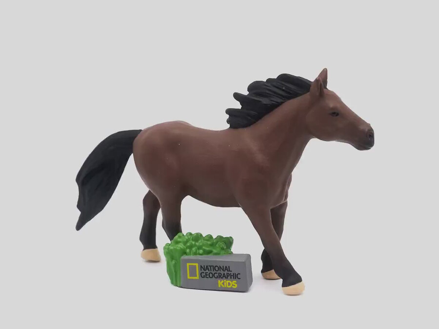 national geographic kids paard tonie