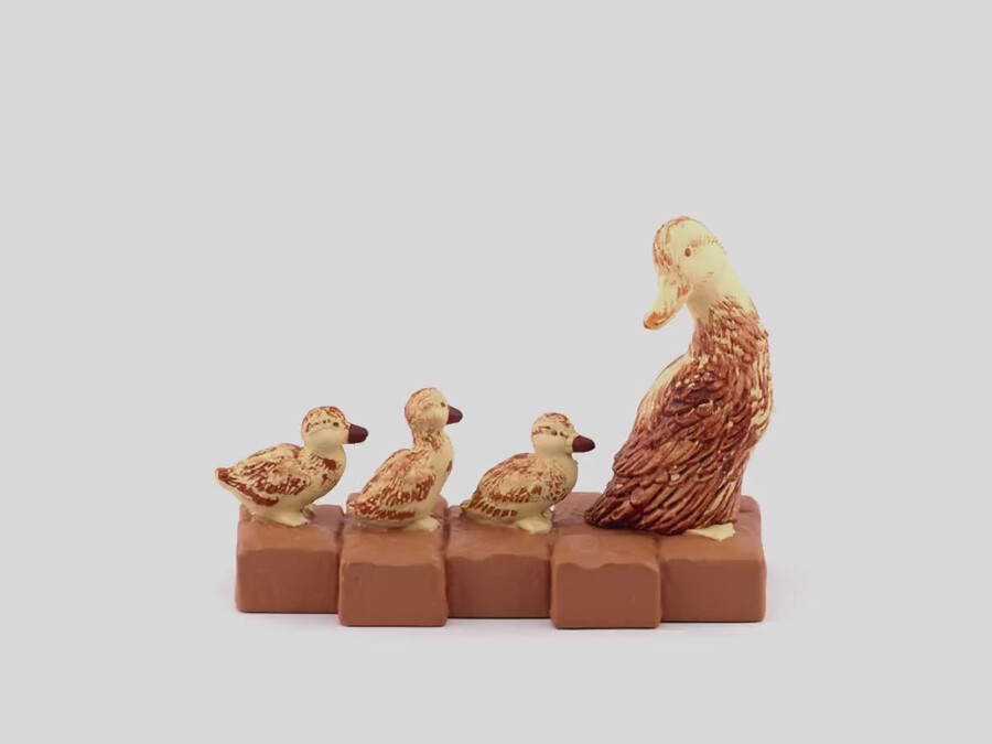 maak plaats voor eendjes tonie